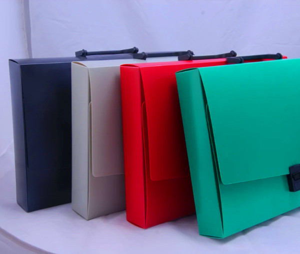 New Pattern A4 Portable PP Buckle Document Case for Office