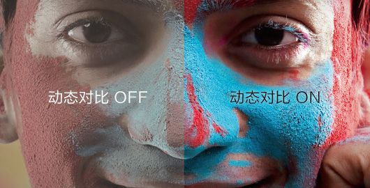 EF-100W的动态对比度